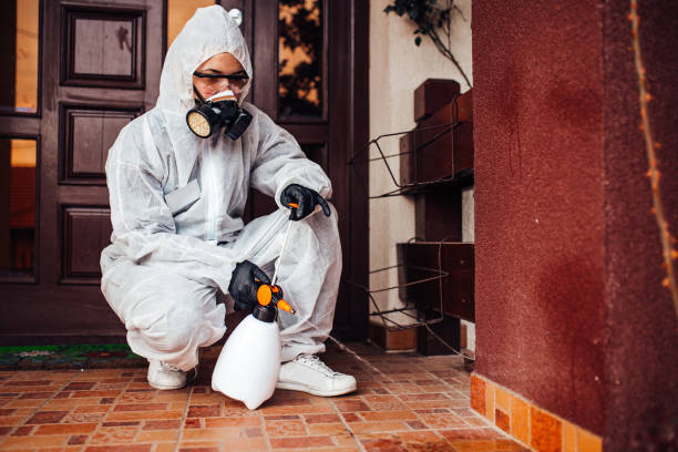 Reliable Wasp Removal contractor in Heidelberg, PA by Show Me Pest Control